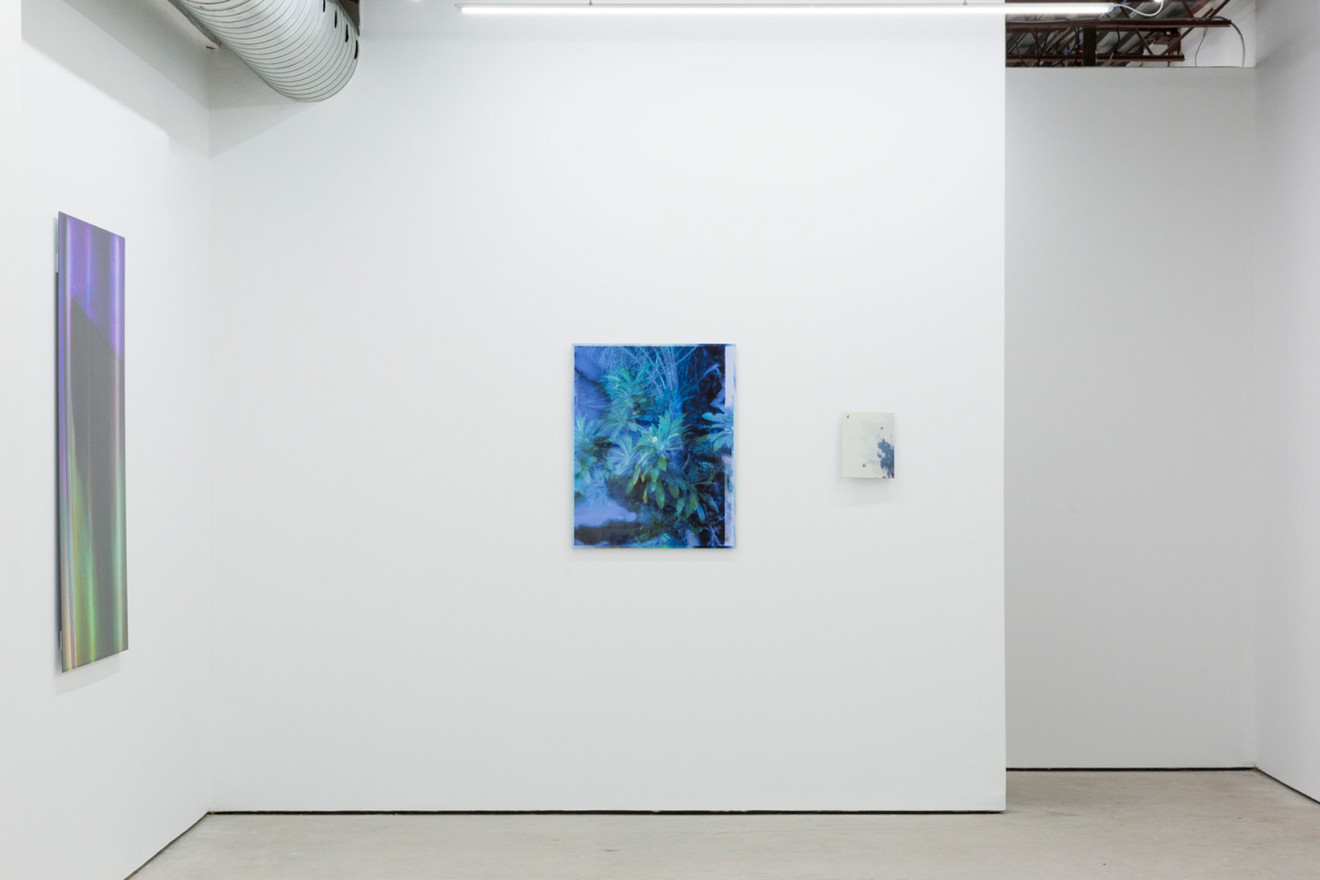A gallery space with three colourful prints of different sizes on display. 