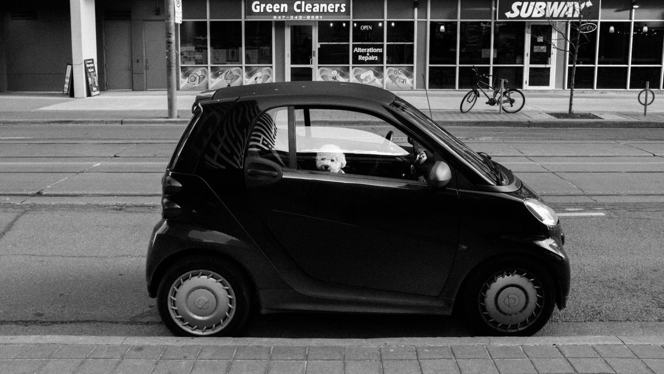 Black and white image of a small dog looking out of the window of a parked smart car.